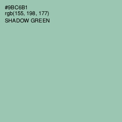 #9BC6B1 - Shadow Green Color Image
